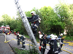 photo239