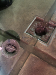 photo3691